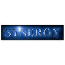 synergyprofessionalsusa