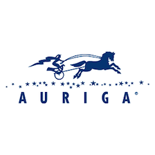 Auriga